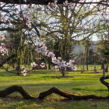 Domaine Berenguer Panzió Ouches Kültér fotó