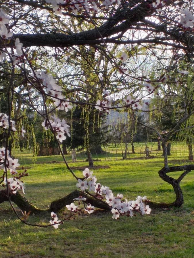 Domaine Berenguer Panzió Ouches Kültér fotó